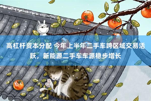 高杠杆资本分配 今年上半年二手车跨区域交易活跃，新能源二手车车源稳步增长
