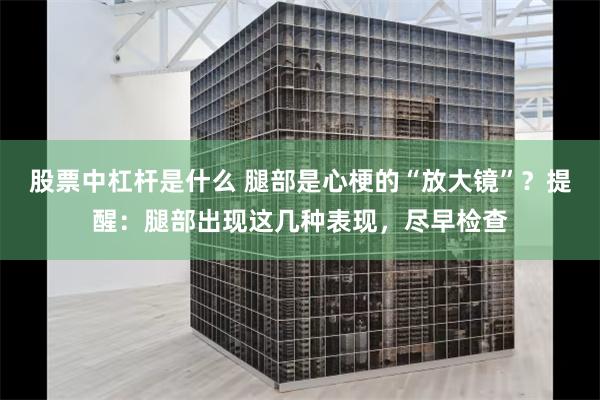 股票中杠杆是什么 腿部是心梗的“放大镜”？提醒：腿部出现这几种表现，尽早检查