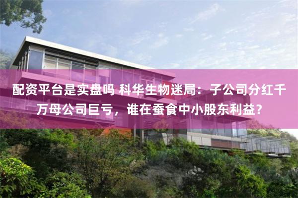 配资平台是实盘吗 科华生物迷局：子公司分红千万母公司巨亏，谁在蚕食中小股东利益？