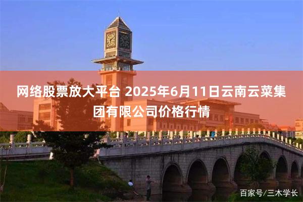 网络股票放大平台 2025年6月11日云南云菜集团有限公司价格行情