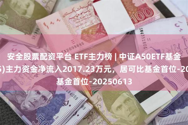安全股票配资平台 ETF主力榜 | 中证A50ETF基金(159595)主力资金净流入2017.23万元，居可比基金首位-20250613