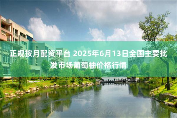 正规按月配资平台 2025年6月13日全国主要批发市场葡萄柚价格行情