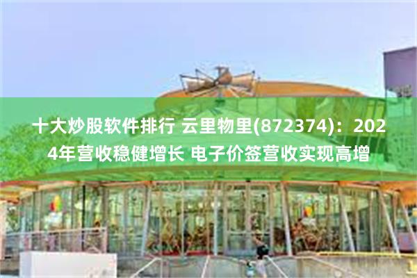 十大炒股软件排行 云里物里(872374)：2024年营收稳健增长 电子价签营收实现高增