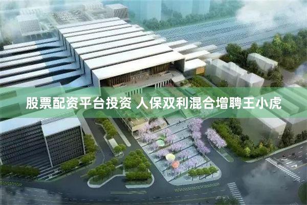 股票配资平台投资 人保双利混合增聘王小虎
