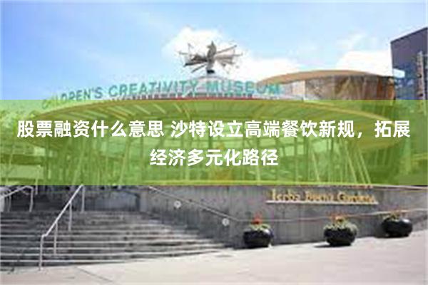 股票融资什么意思 沙特设立高端餐饮新规，拓展经济多元化路径