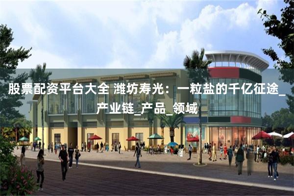 股票配资平台大全 潍坊寿光：一粒盐的千亿征途_产业链_产品_领域