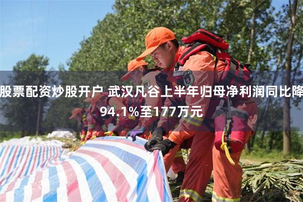 股票配资炒股开户 武汉凡谷上半年归母净利润同比降94.1%至177万元