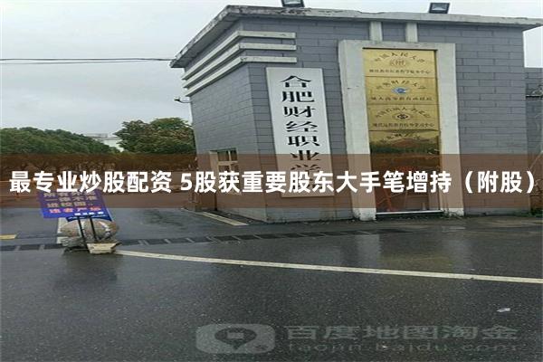 最专业炒股配资 5股获重要股东大手笔增持（附股）