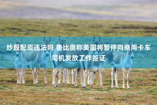 炒股配资违法吗 鲁比奥称美国将暂停向商用卡车司机发放工作签证
